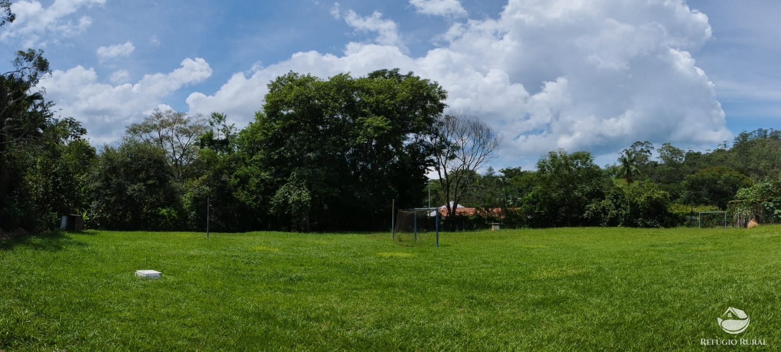 Fazenda à venda com 4 quartos, 20000m² - Foto 6