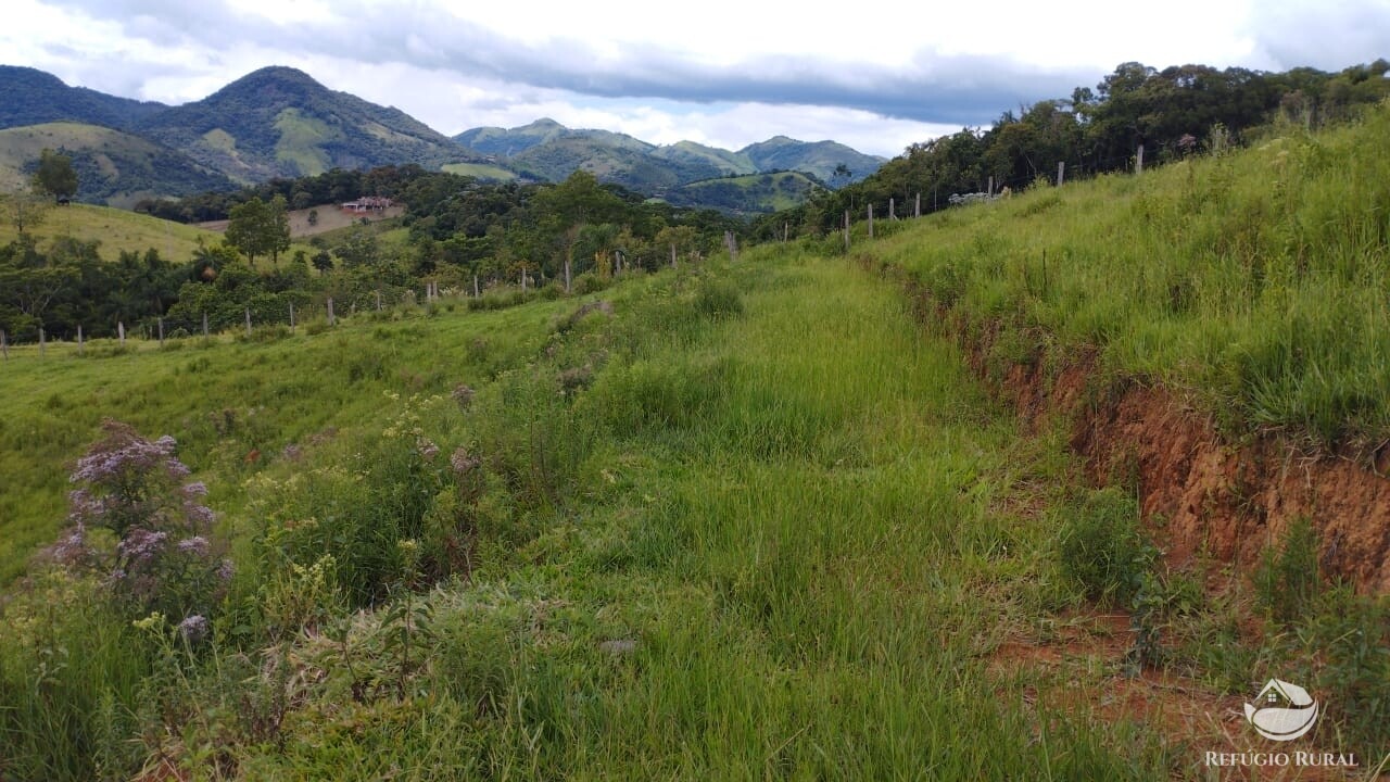 Fazenda à venda com 1 quarto, 9600m² - Foto 7