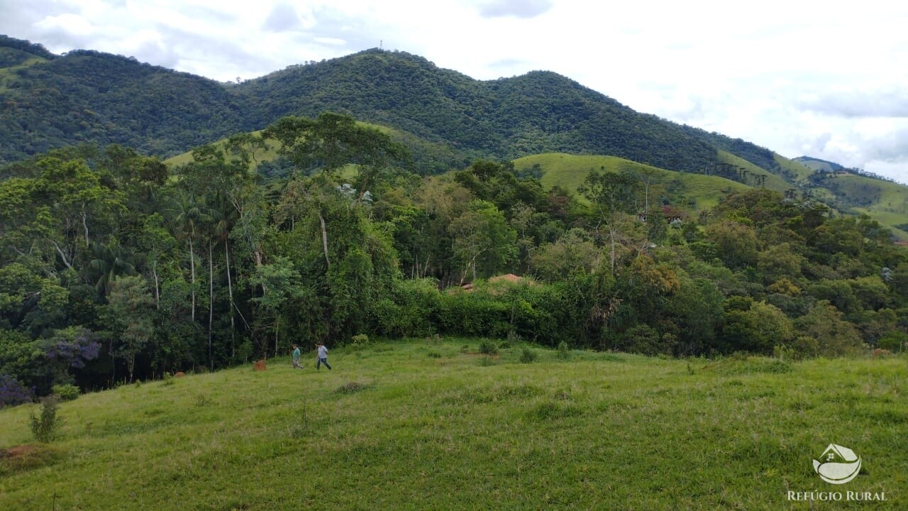 Fazenda à venda com 1 quarto, 9600m² - Foto 2