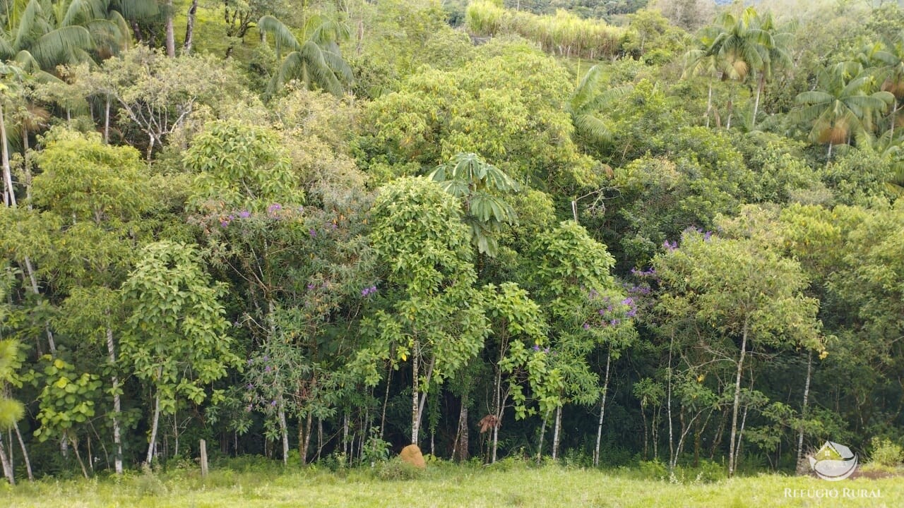 Fazenda à venda com 1 quarto, 9600m² - Foto 6