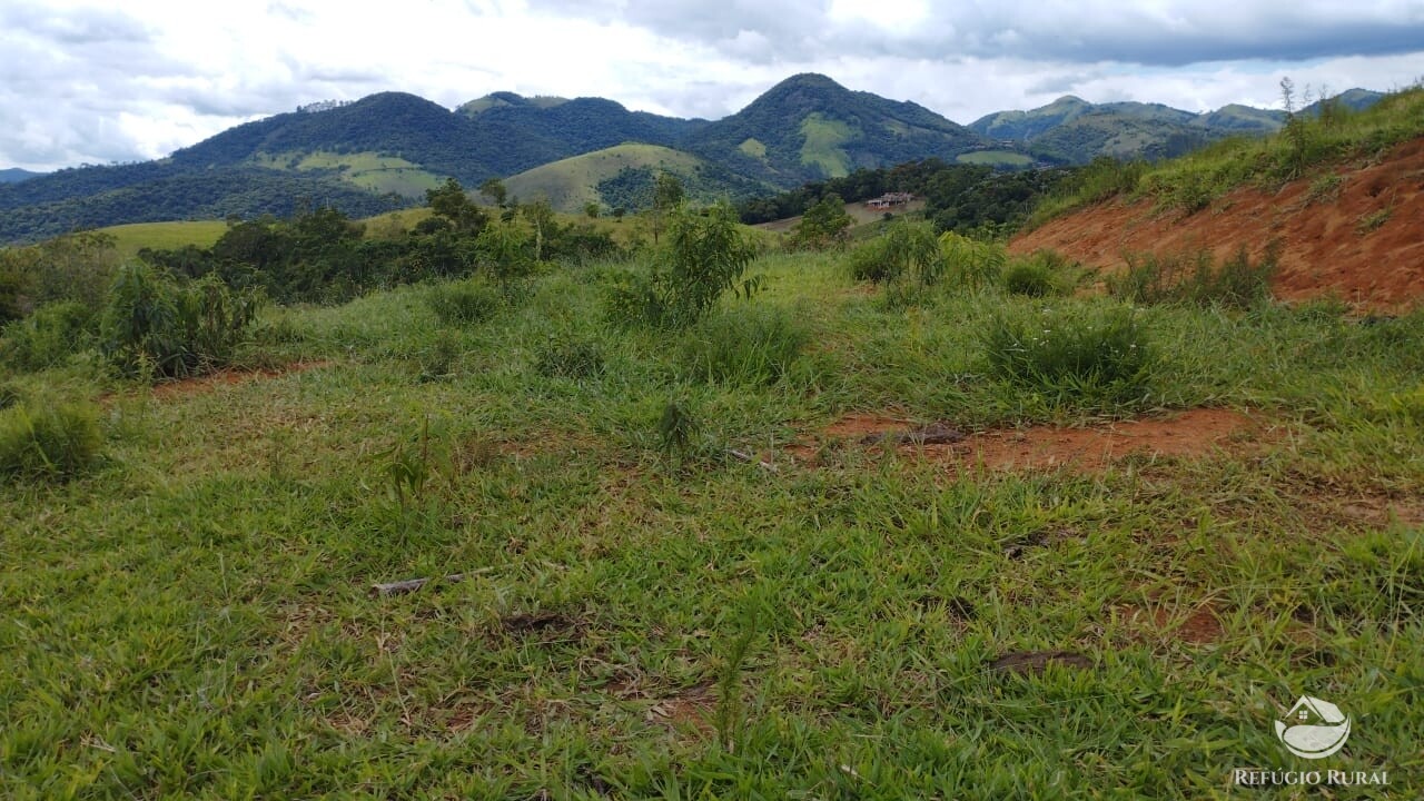 Fazenda à venda com 1 quarto, 9600m² - Foto 5