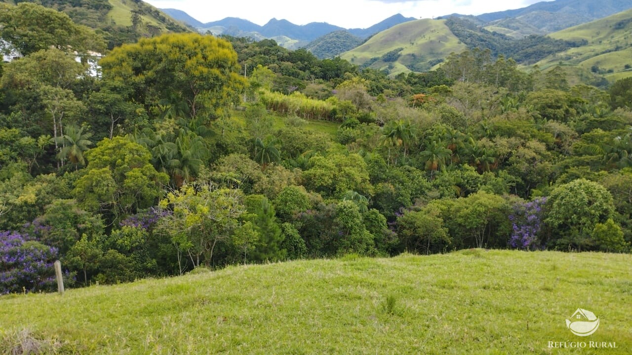 Fazenda à venda com 1 quarto, 9600m² - Foto 1