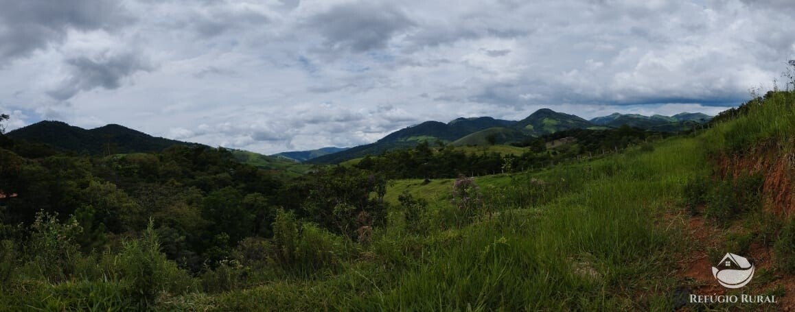 Fazenda à venda com 1 quarto, 9600m² - Foto 8