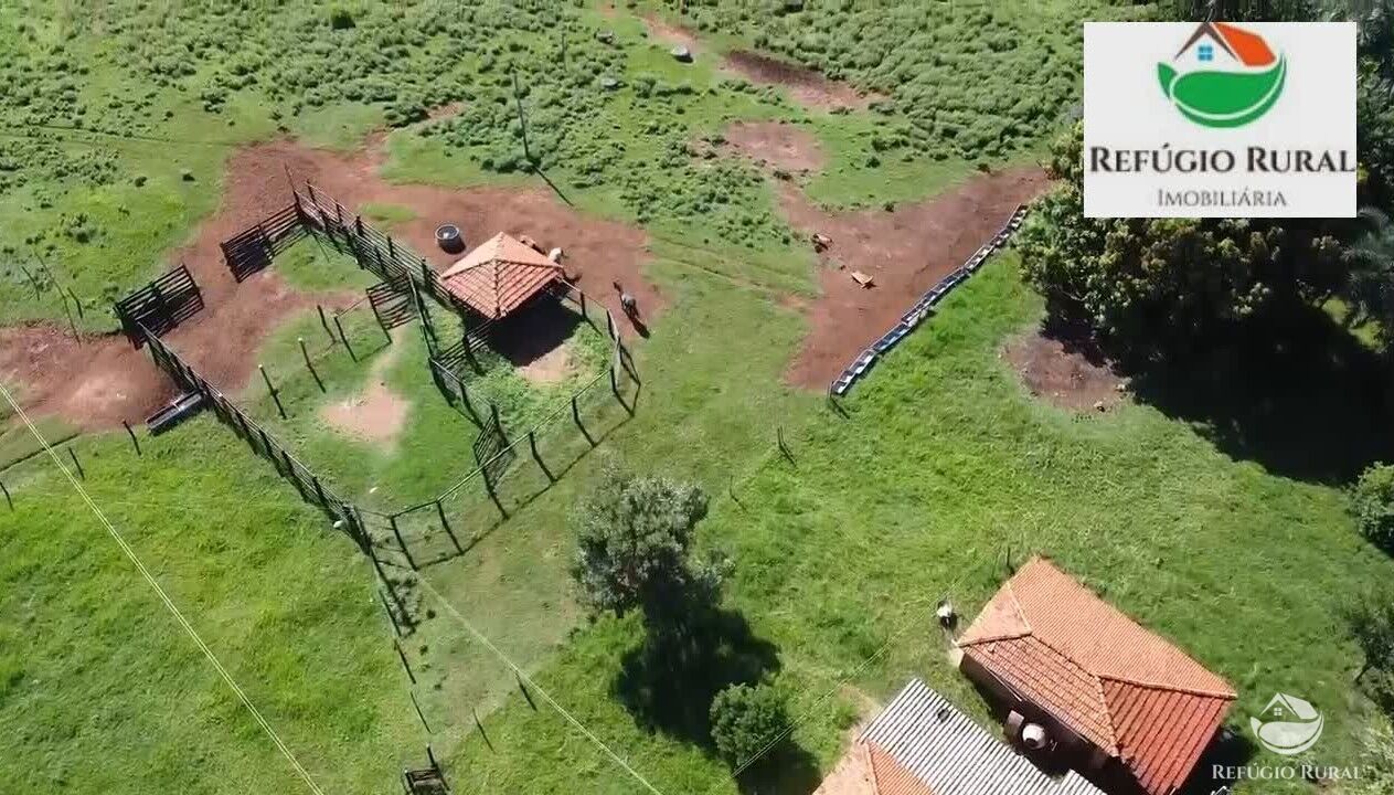 Fazenda à venda com 2 quartos, 968000m² - Foto 2