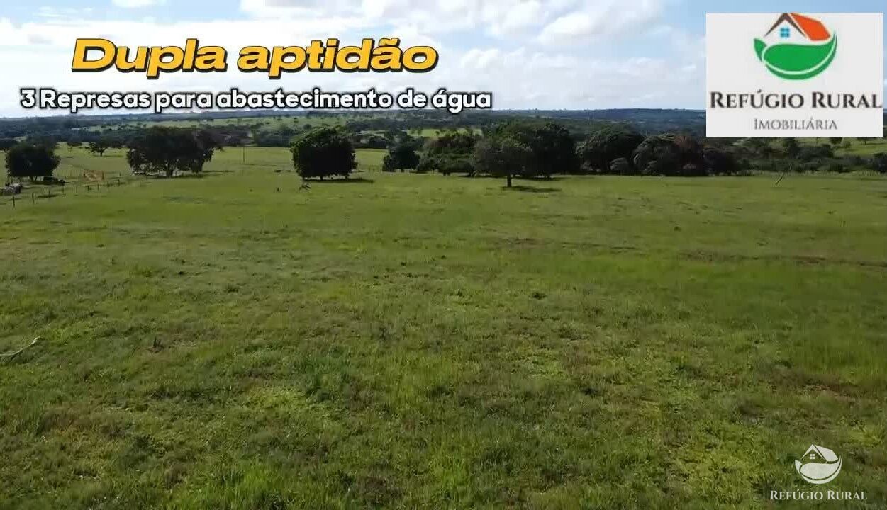 Fazenda à venda com 2 quartos, 968000m² - Foto 6