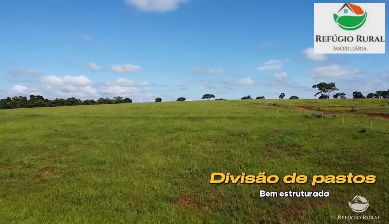 Fazenda à venda com 2 quartos, 968000m² - Foto 4