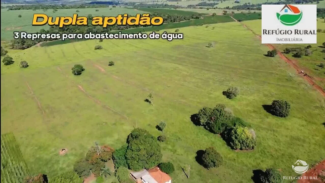 Fazenda à venda com 2 quartos, 968000m² - Foto 5