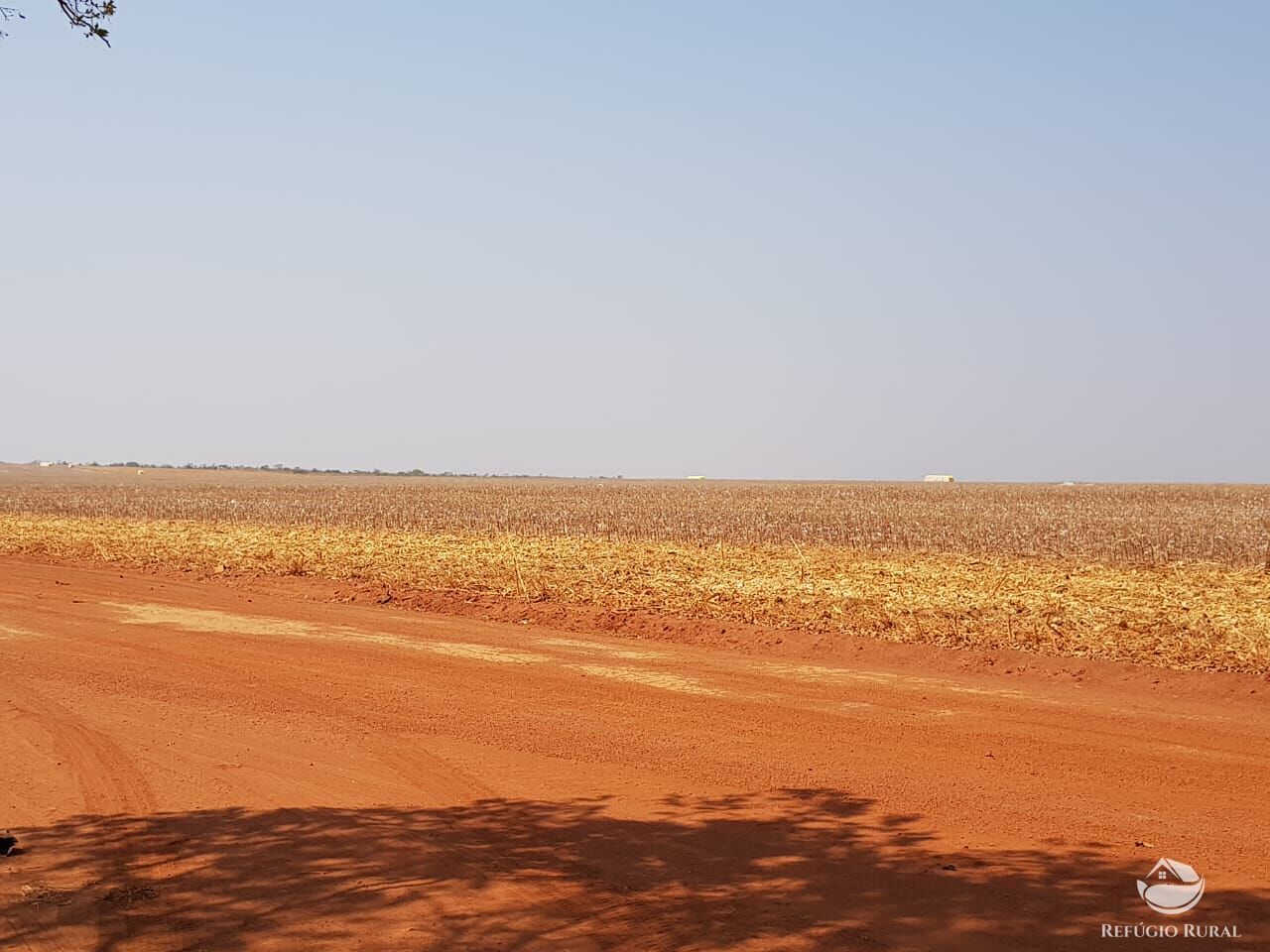 Fazenda à venda com 4 quartos, 175310000m² - Foto 2