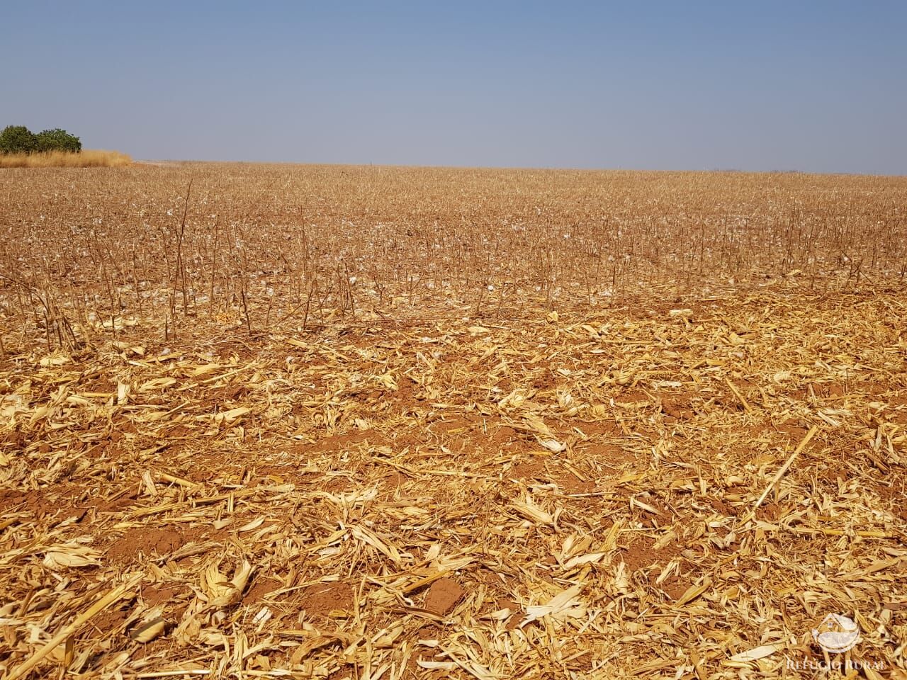 Fazenda à venda com 4 quartos, 175310000m² - Foto 13