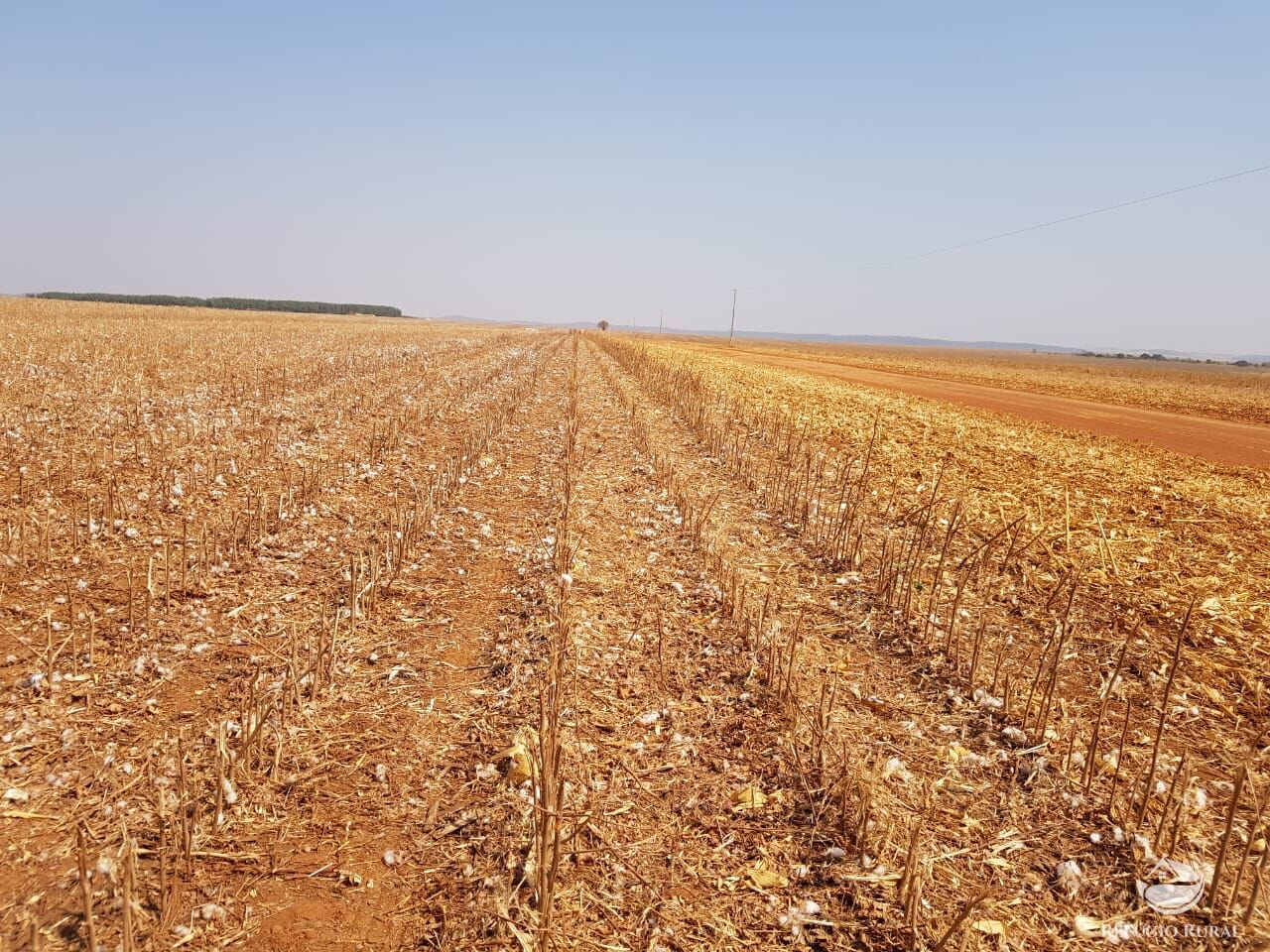 Fazenda à venda com 4 quartos, 175310000m² - Foto 14