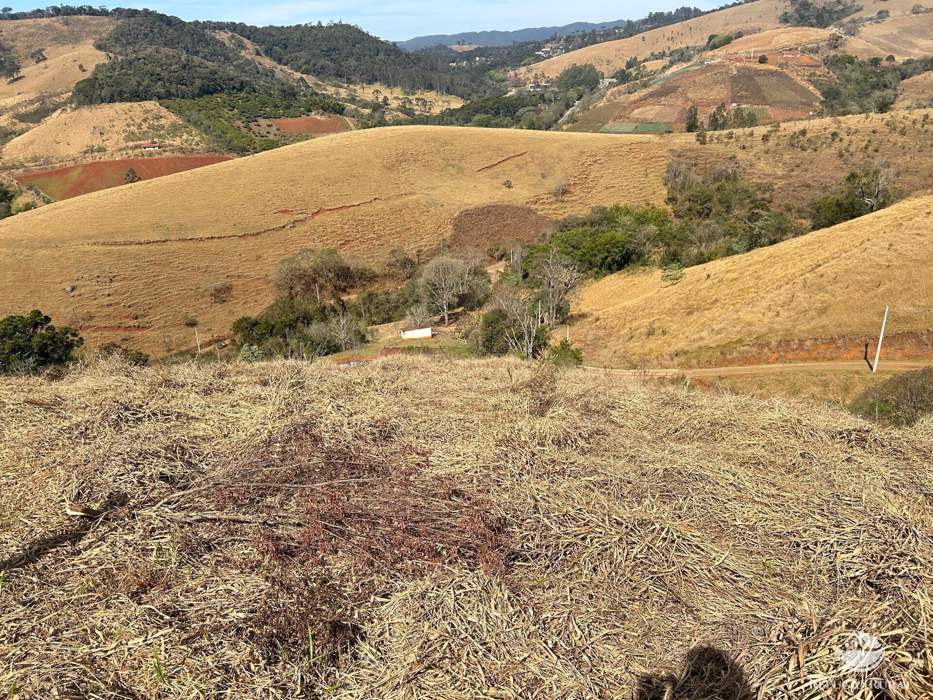 Terreno à venda, 30000m² - Foto 17