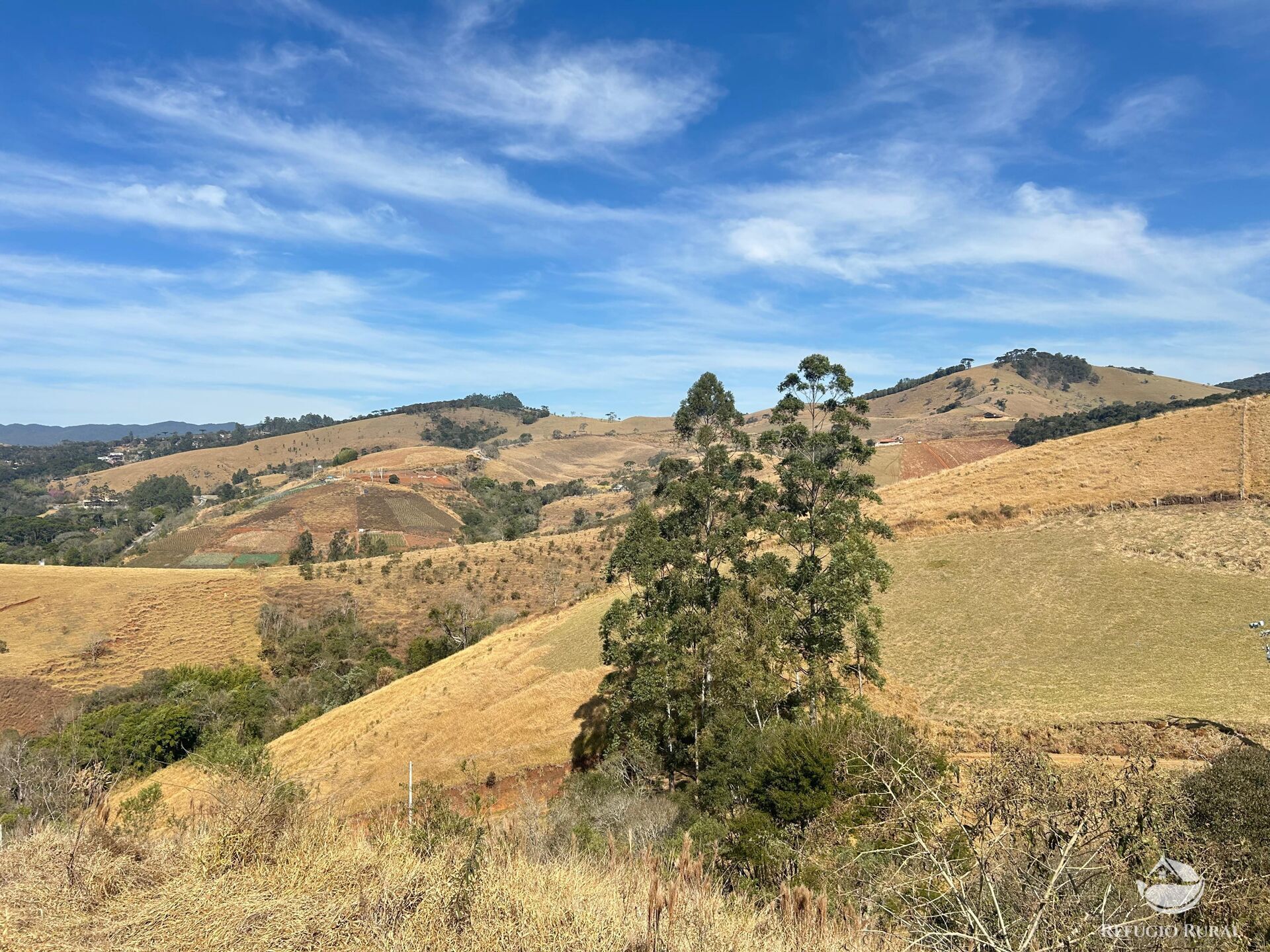 Terreno à venda, 30000m² - Foto 12