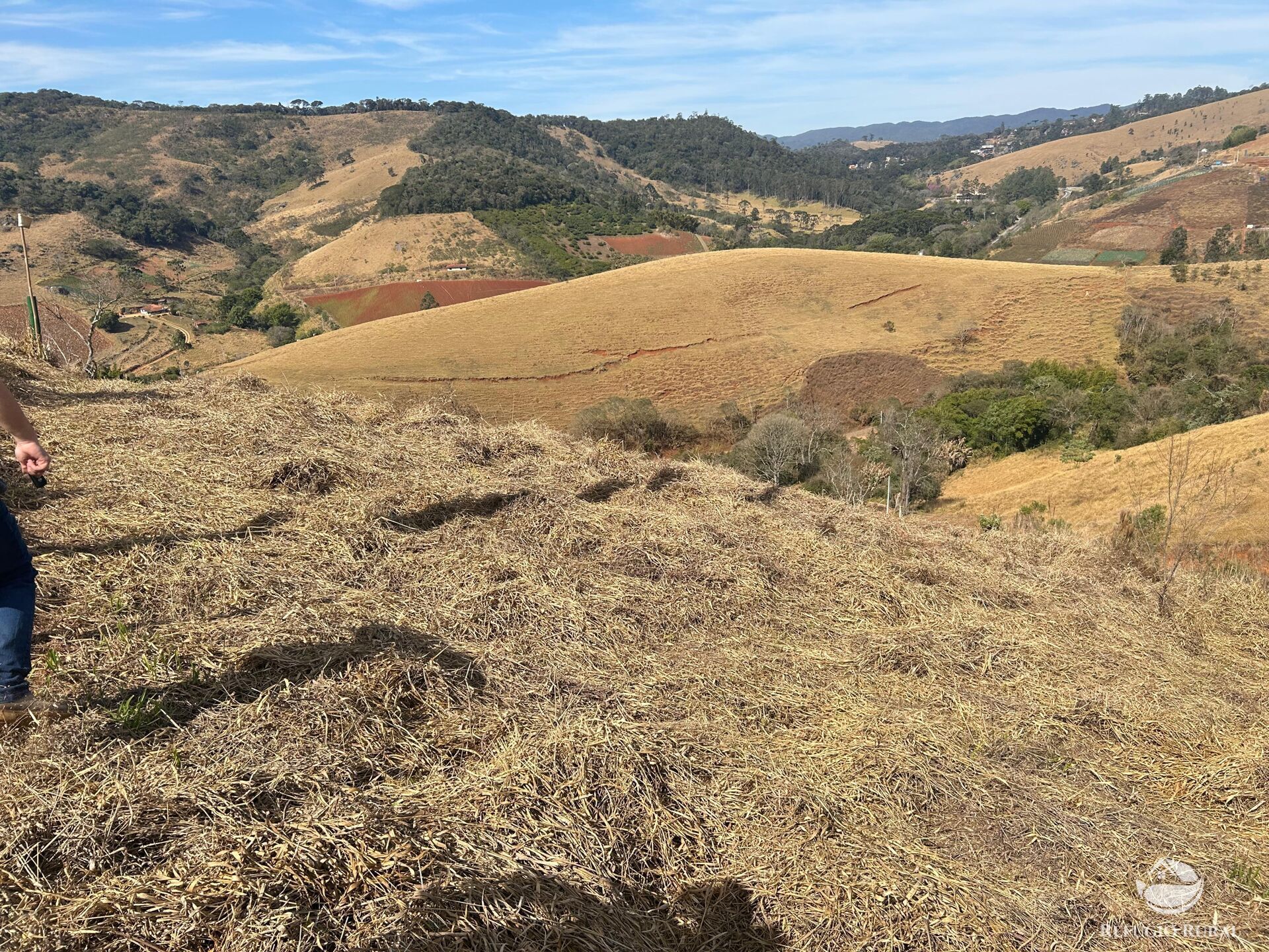 Terreno à venda, 30000m² - Foto 16