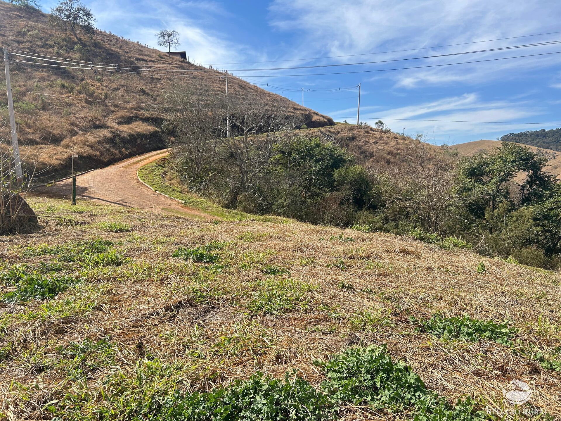Terreno à venda, 30000m² - Foto 4