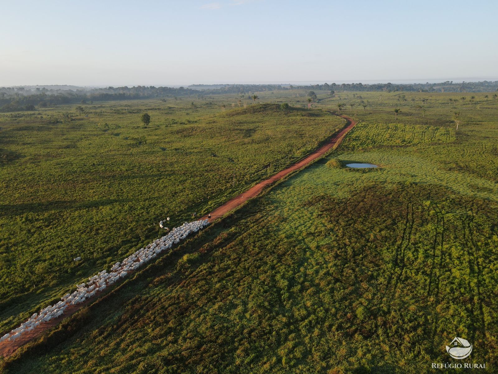 Fazenda à venda com 8 quartos, 29000000m² - Foto 2