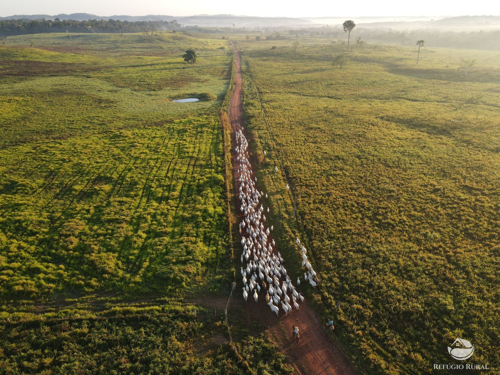 Fazenda à venda com 8 quartos, 29000000m² - Foto 1