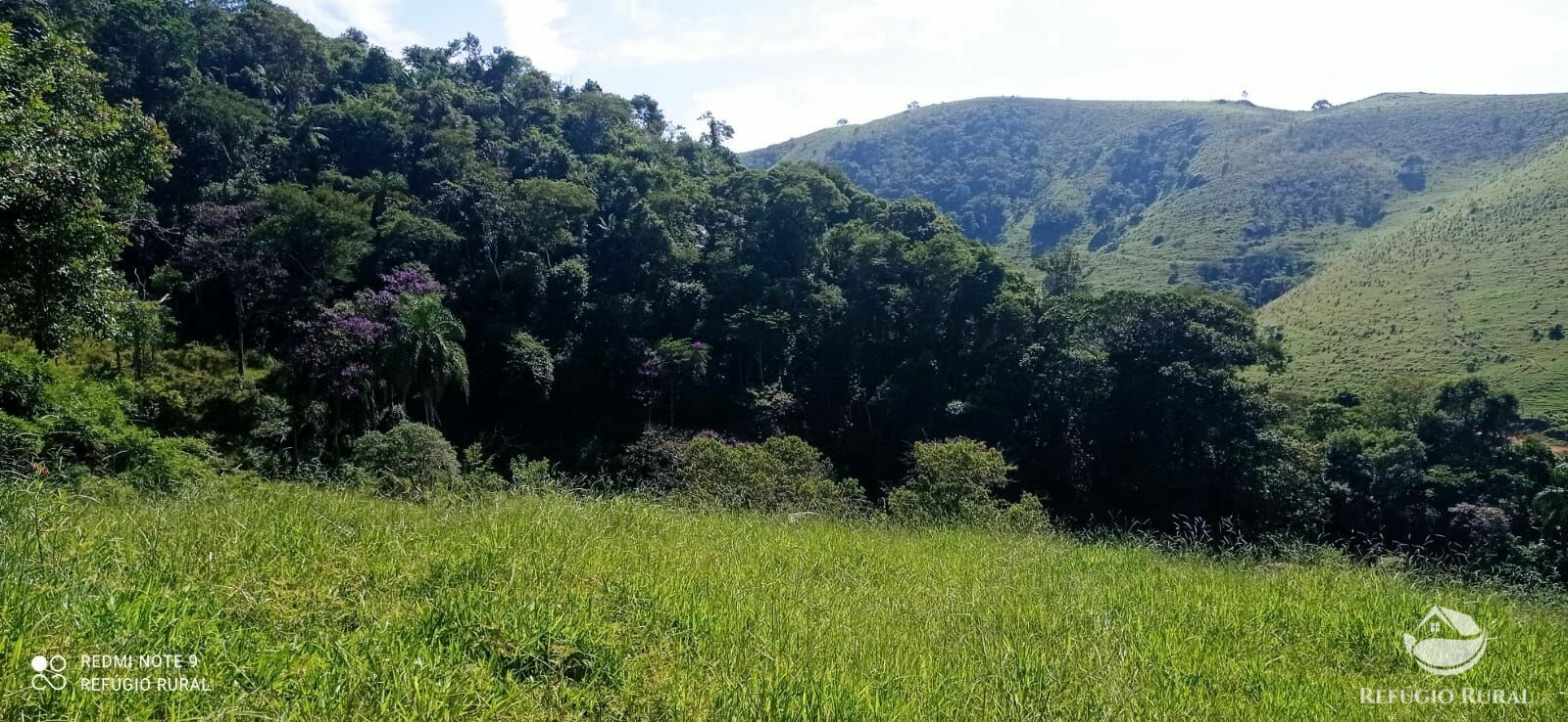 Terreno à venda, 60000m² - Foto 38