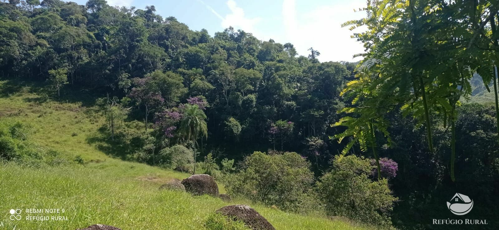 Terreno à venda, 60000m² - Foto 31