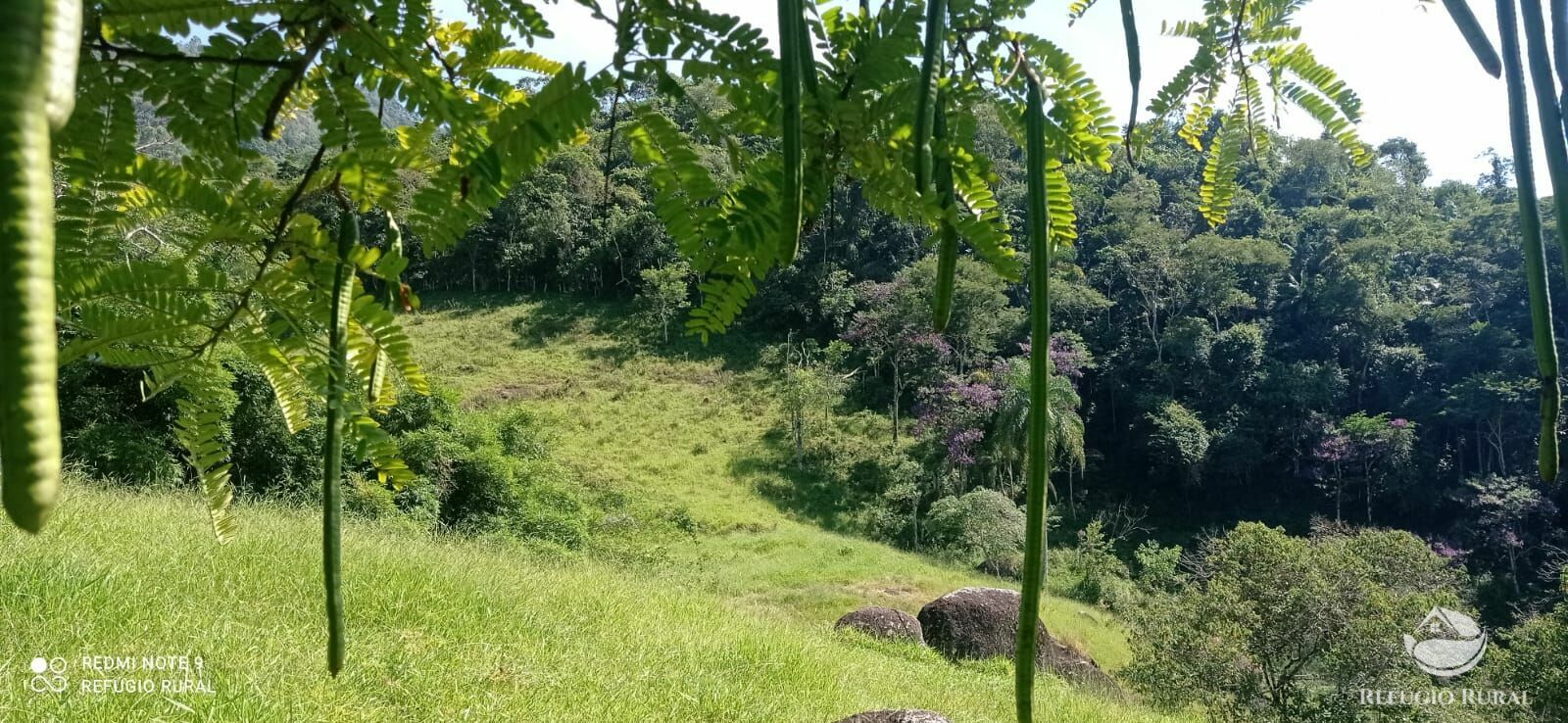 Terreno à venda, 60000m² - Foto 35