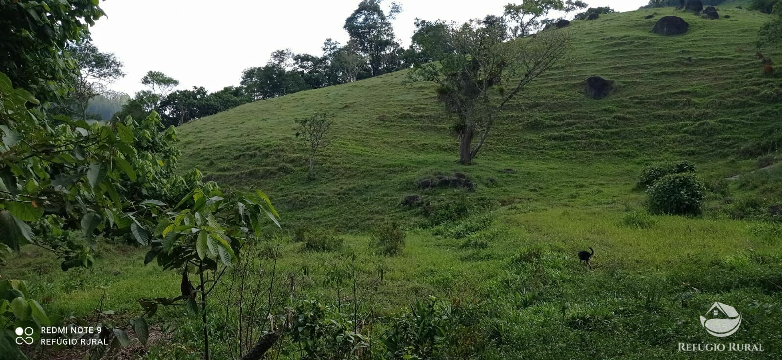 Terreno à venda, 60000m² - Foto 14