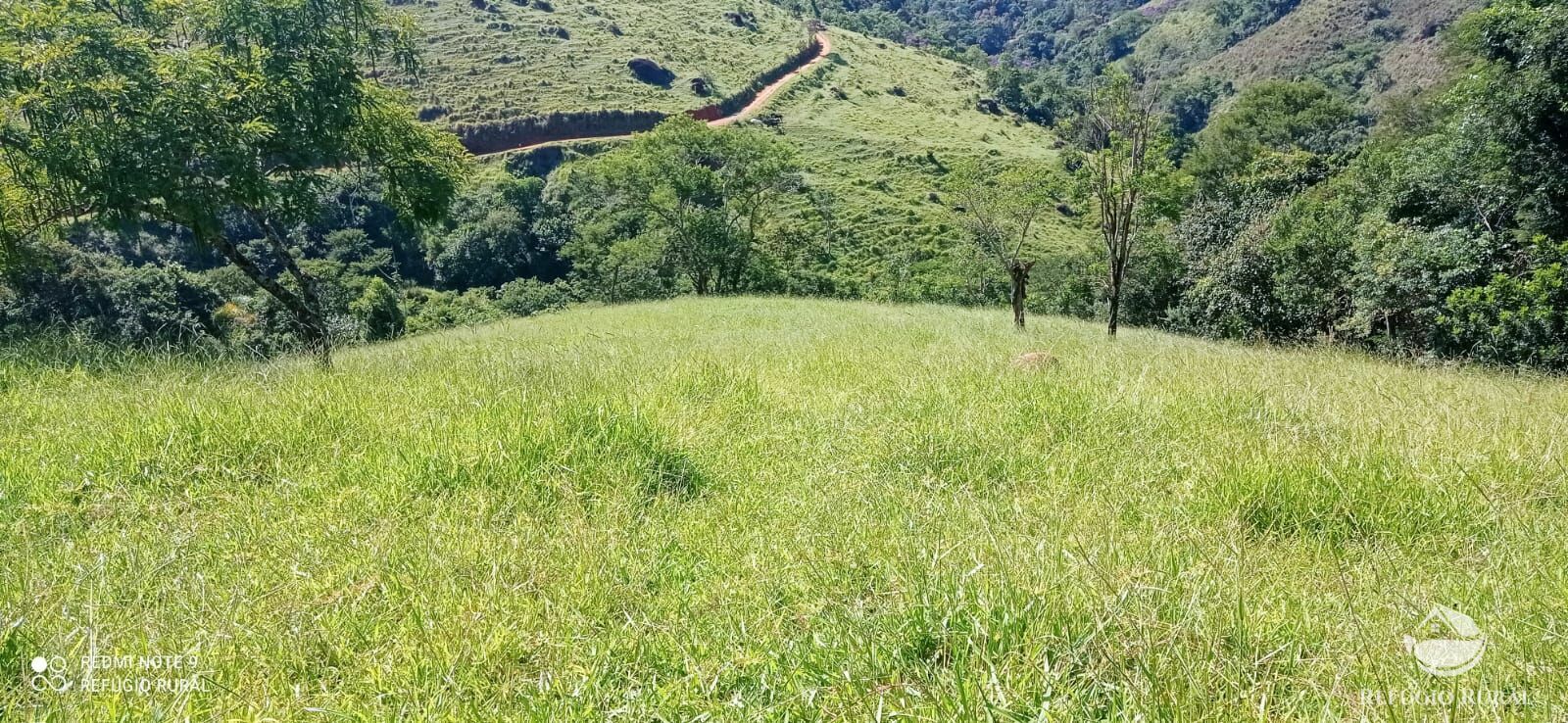 Terreno à venda, 60000m² - Foto 37