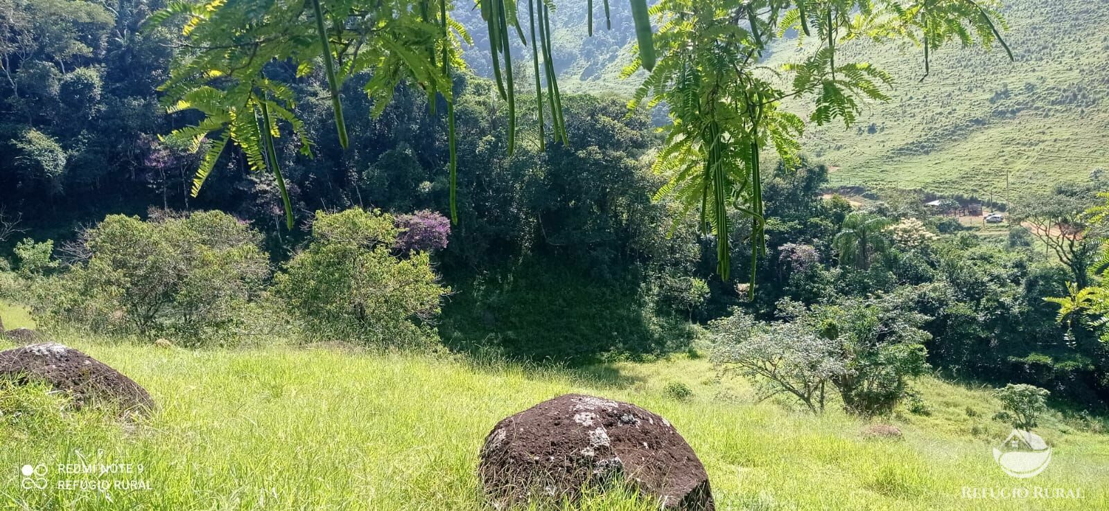 Terreno à venda, 60000m² - Foto 30