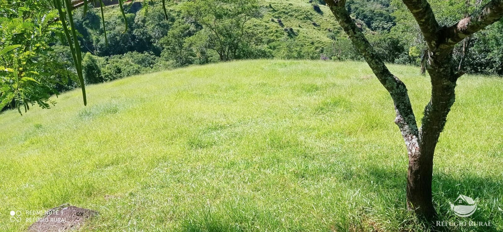 Terreno à venda, 60000m² - Foto 33