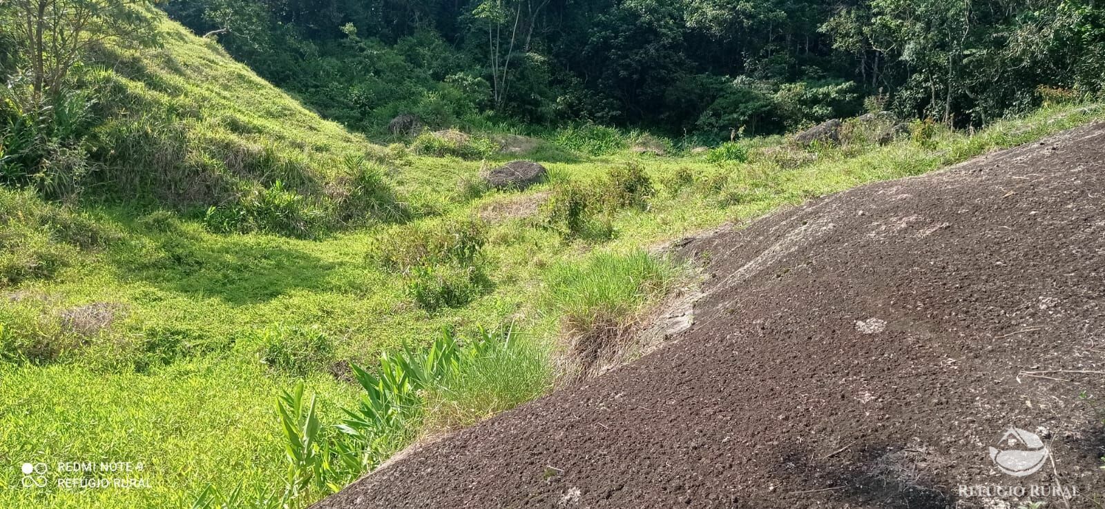 Terreno à venda, 60000m² - Foto 5