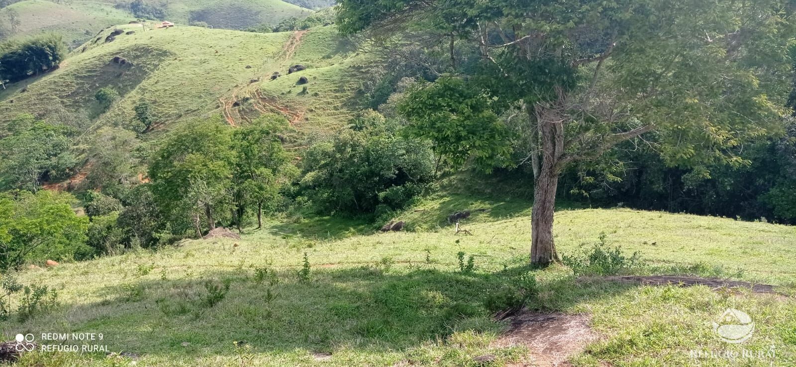 Terreno à venda, 60000m² - Foto 2