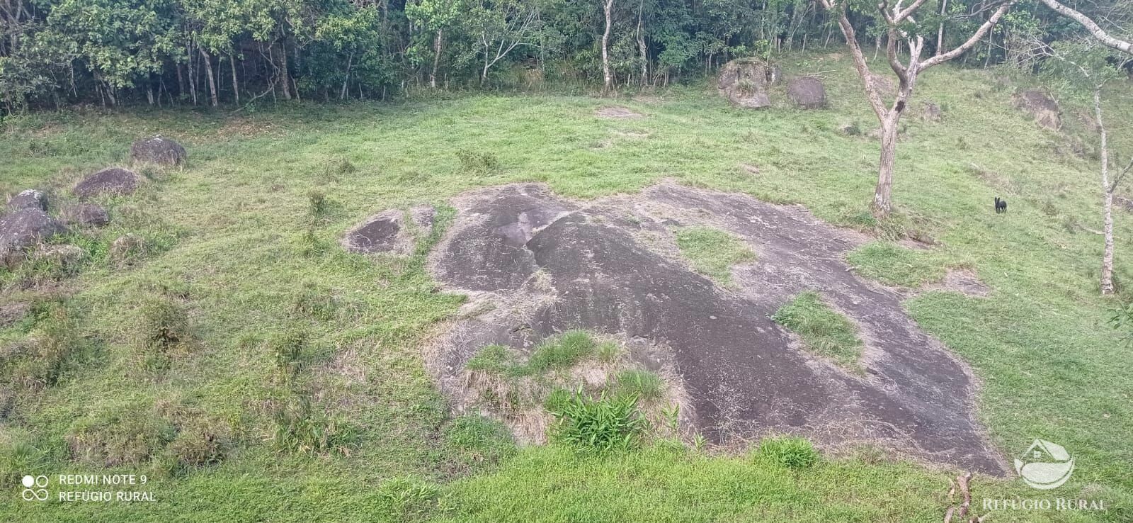 Terreno à venda, 60000m² - Foto 22