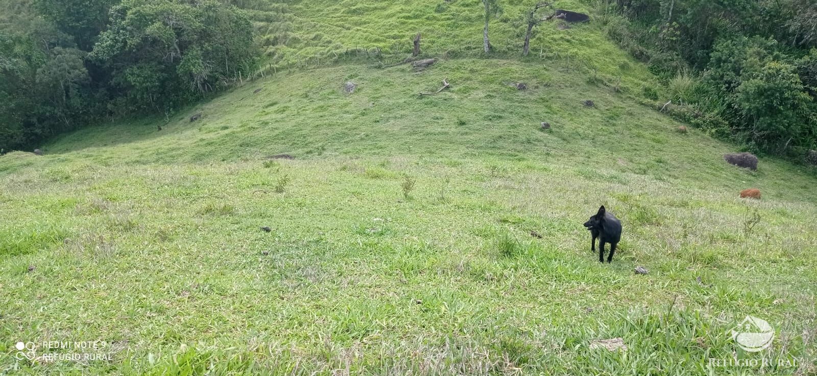 Terreno à venda, 60000m² - Foto 11