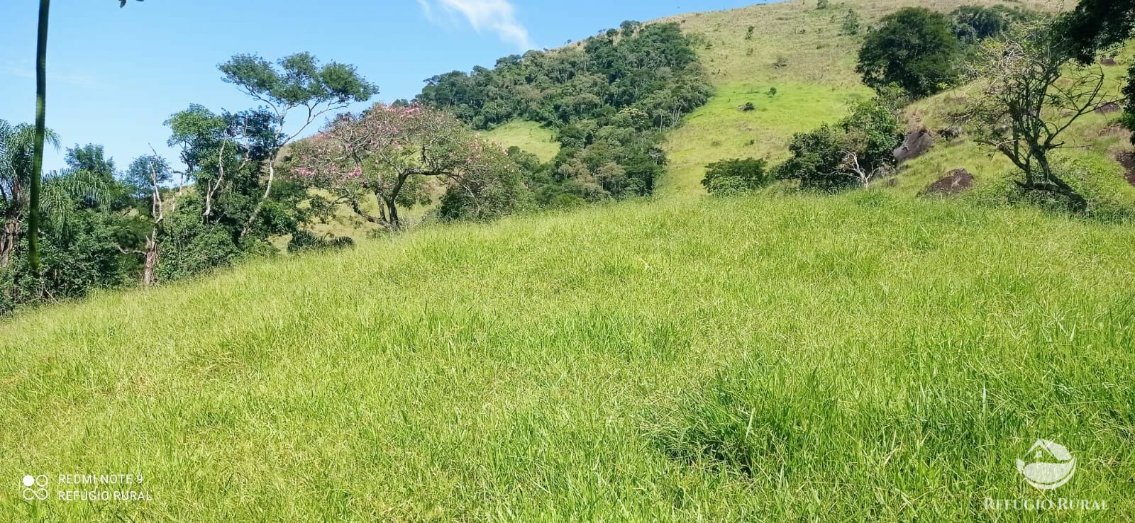 Terreno à venda, 60000m² - Foto 29