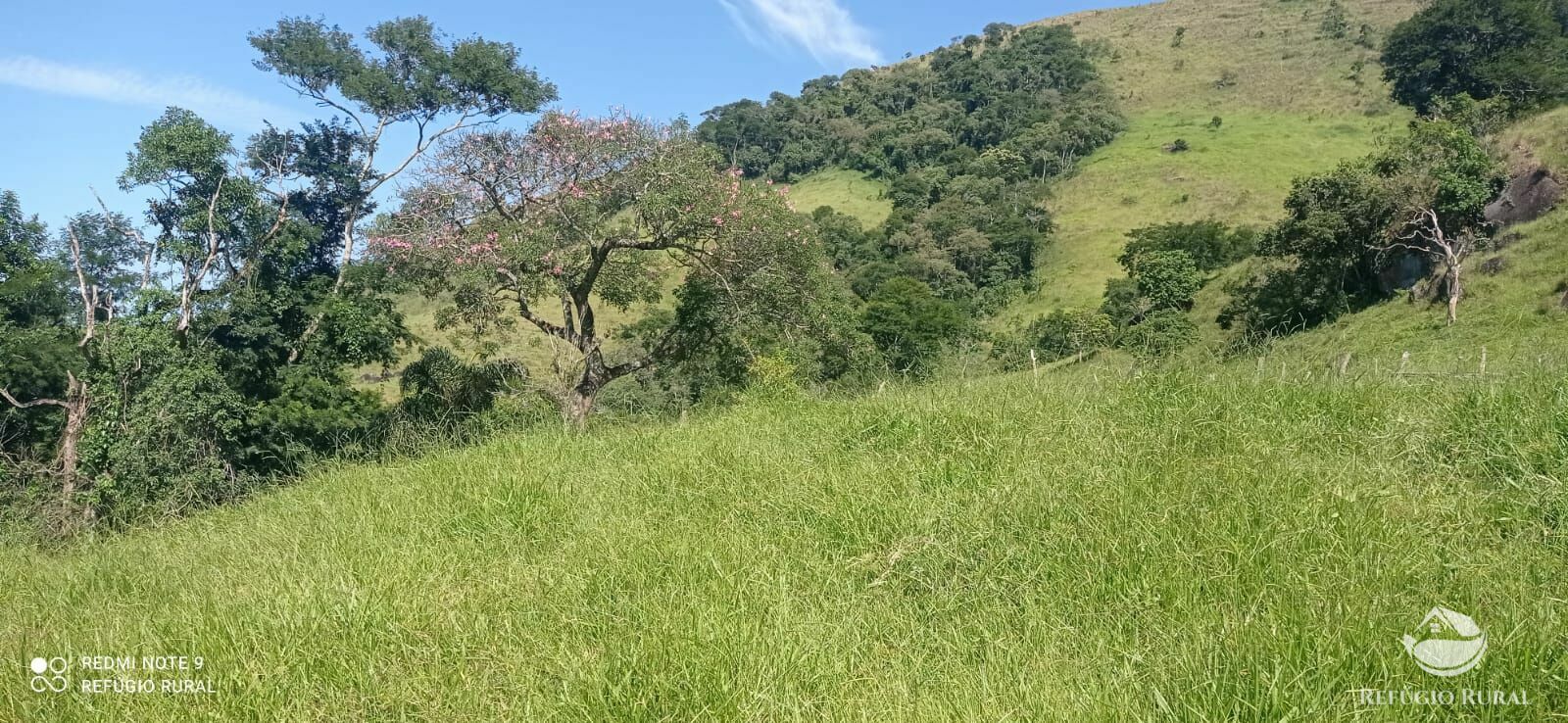 Terreno à venda, 60000m² - Foto 36