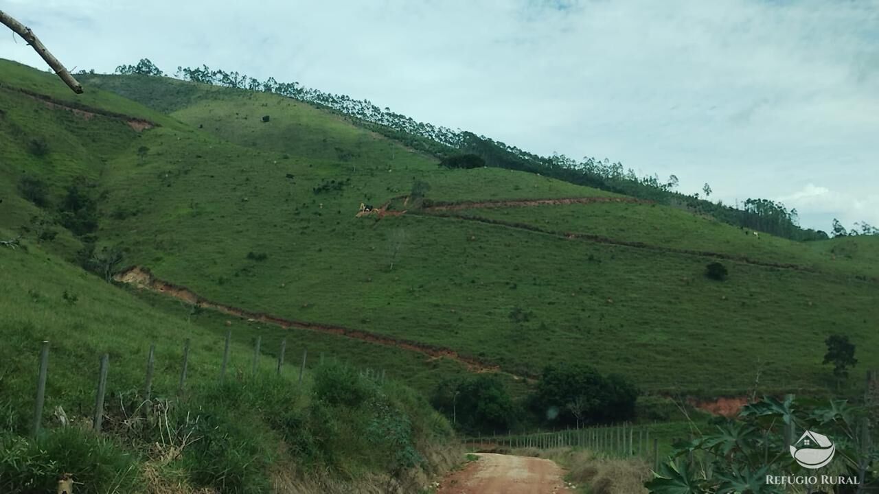 Terreno, 2 hectares - Foto 16