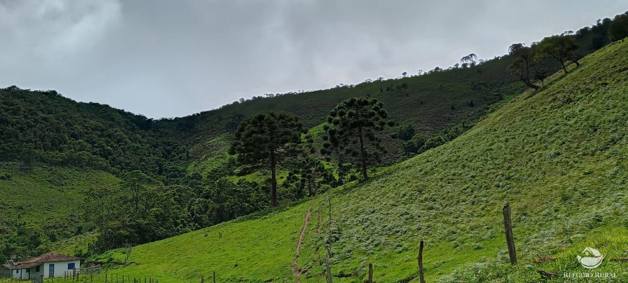 Sítio à venda com 1 quarto, 363000m² - Foto 3