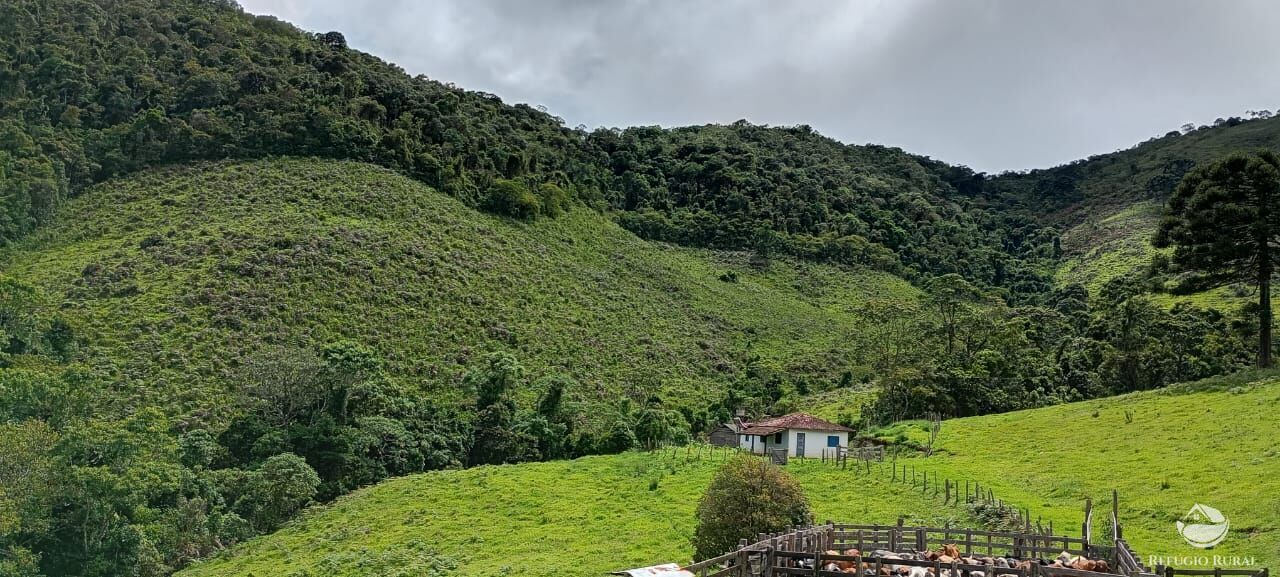 Sítio à venda com 1 quarto, 363000m² - Foto 2