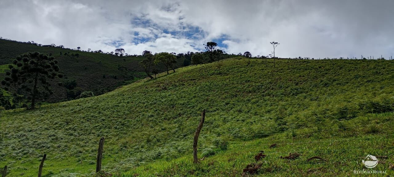 Sítio à venda com 1 quarto, 363000m² - Foto 4
