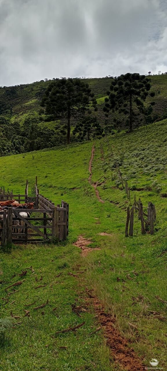 Sítio à venda com 1 quarto, 363000m² - Foto 7