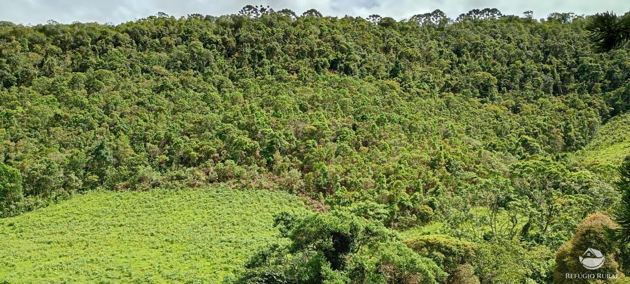 Sítio à venda com 1 quarto, 363000m² - Foto 6
