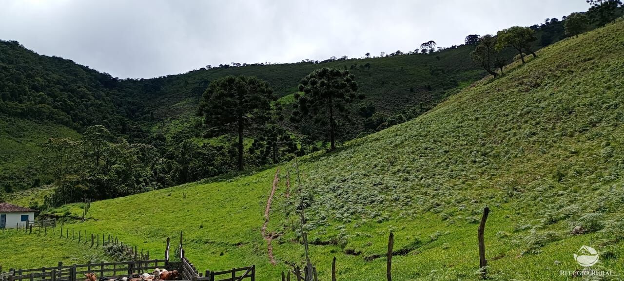 Sítio à venda com 1 quarto, 363000m² - Foto 5