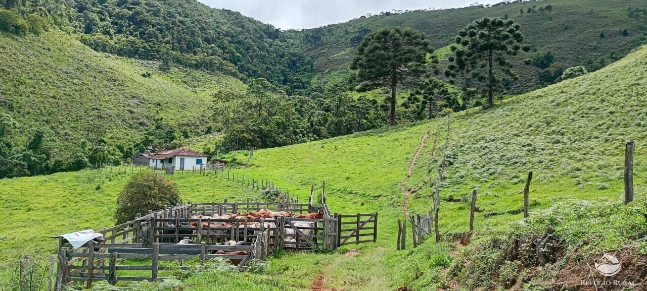 Sítio à venda com 1 quarto, 363000m² - Foto 8