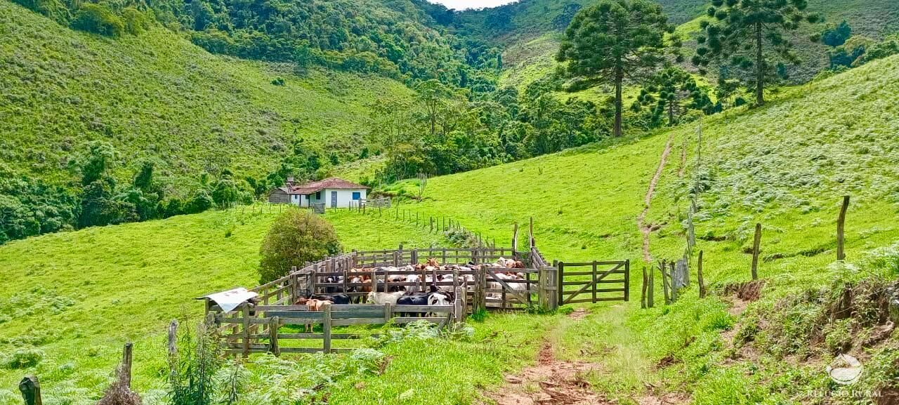 Sítio à venda com 1 quarto, 363000m² - Foto 1