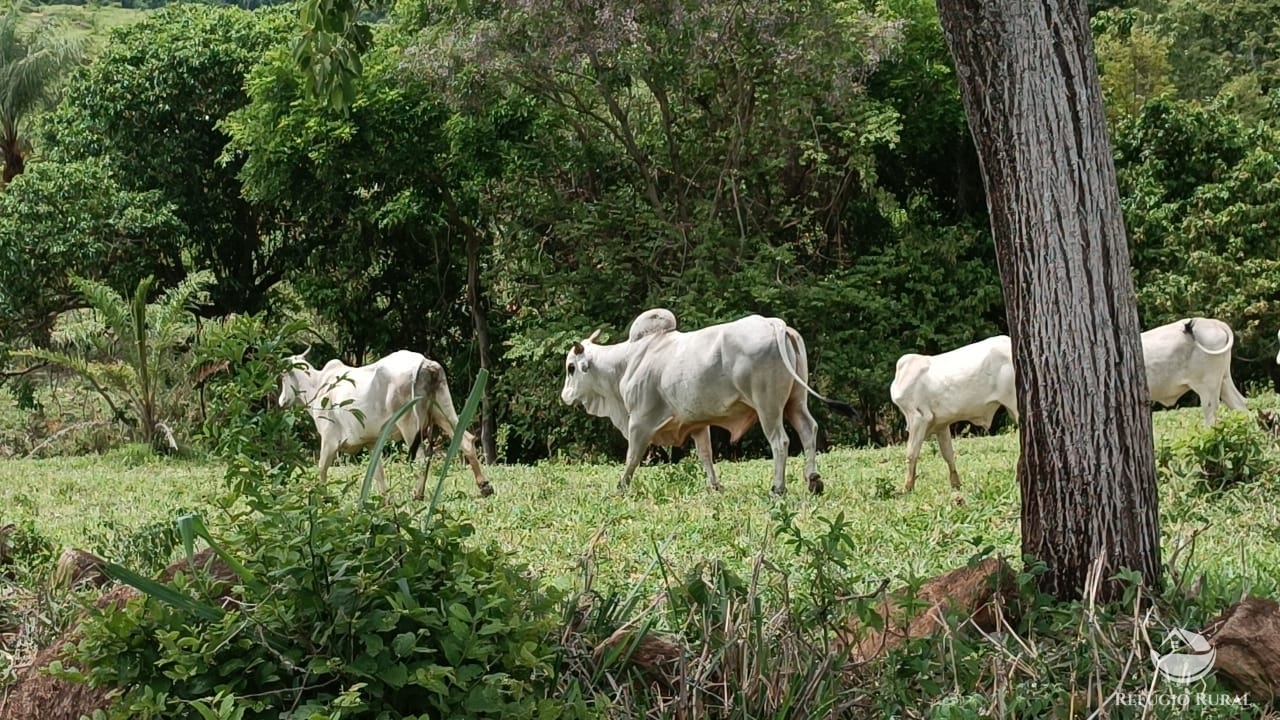 Fazenda à venda com 1 quarto, 532400m² - Foto 21