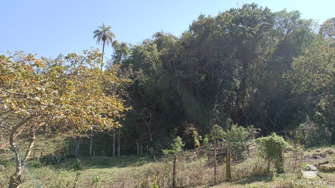 Fazenda à venda com 1 quarto, 532400m² - Foto 4