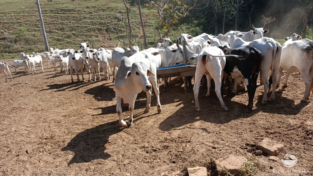 Fazenda à venda com 1 quarto, 532400m² - Foto 7