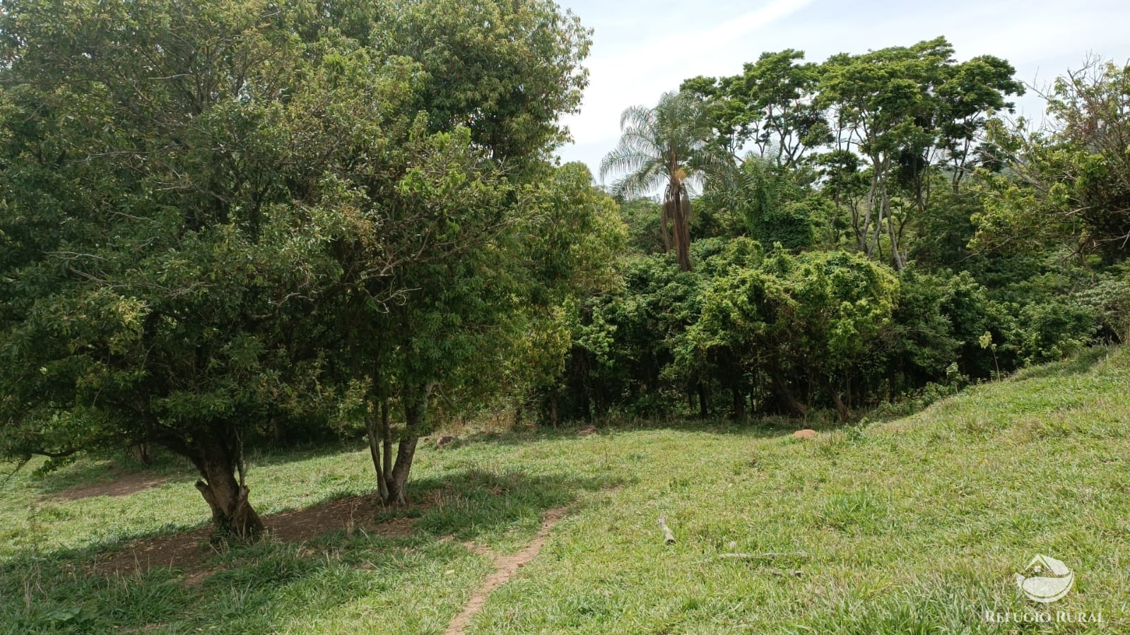 Fazenda à venda com 1 quarto, 532400m² - Foto 2