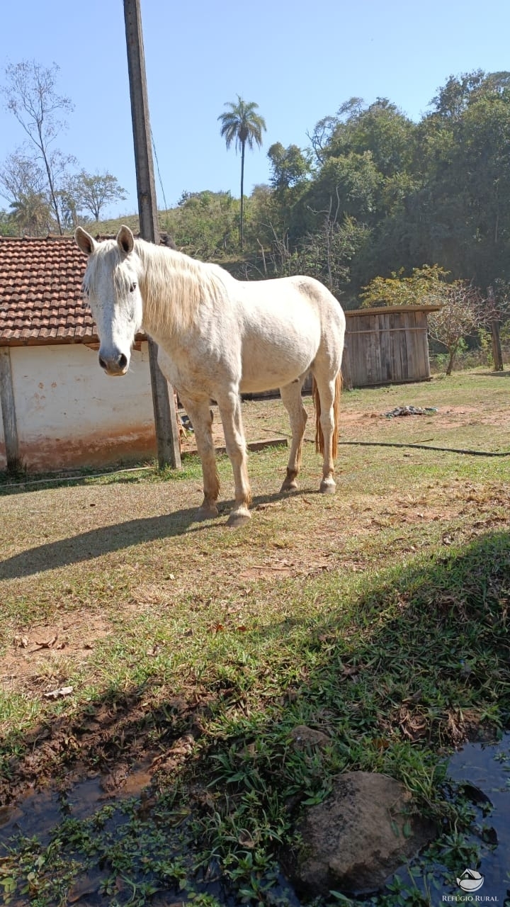 Fazenda à venda com 1 quarto, 532400m² - Foto 10