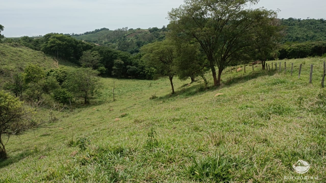 Fazenda à venda com 1 quarto, 532400m² - Foto 22