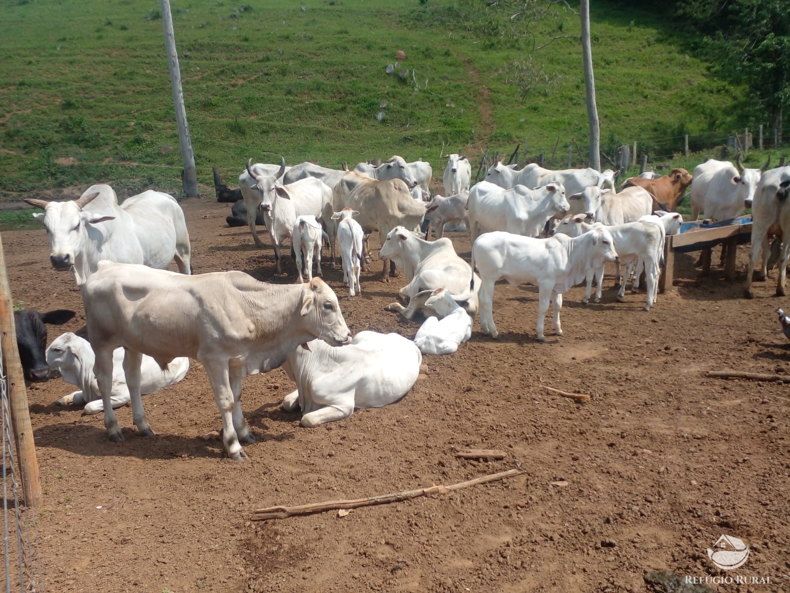 Fazenda à venda com 1 quarto, 532400m² - Foto 9