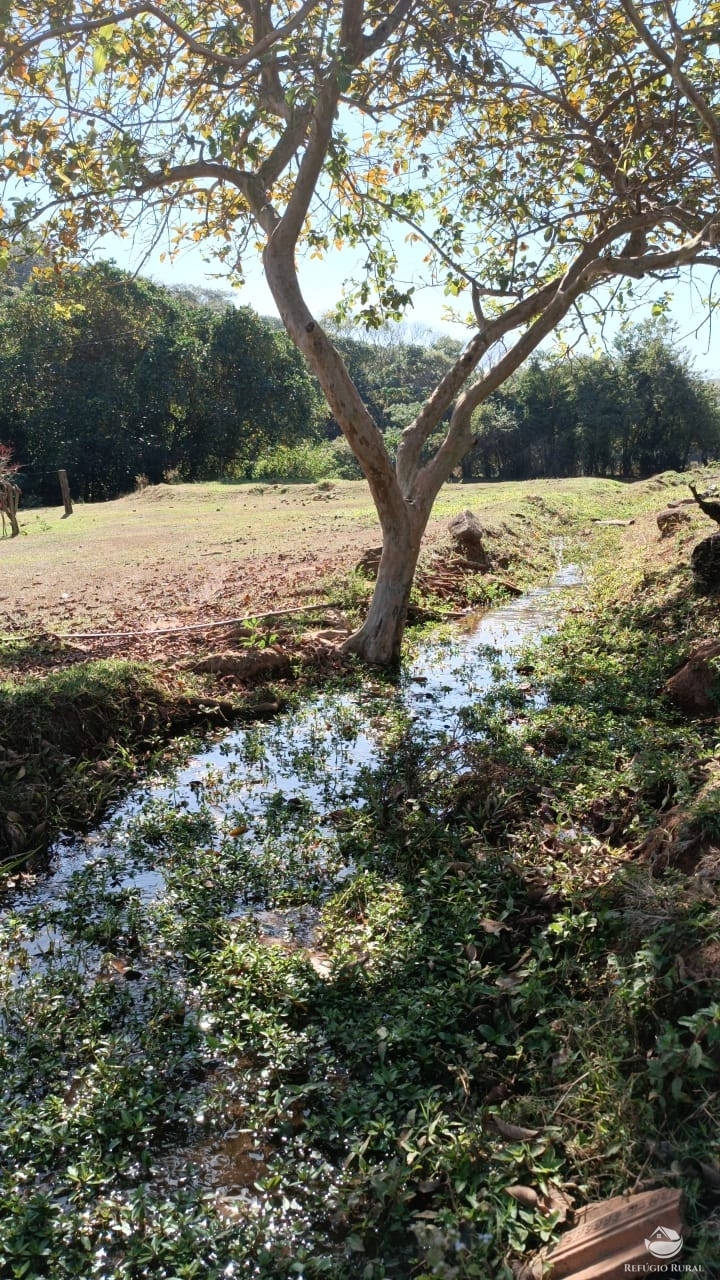 Fazenda à venda com 1 quarto, 532400m² - Foto 3